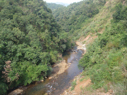 A view up a roadside valley.